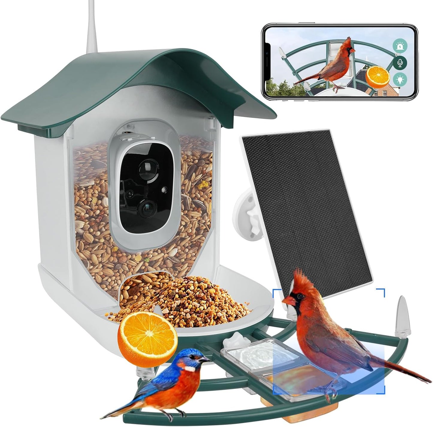 Smart Bird Feeder with Camera for Bird Watching Enthusiasts