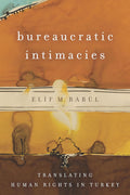 Bureaucratic Intimacies: Translating Human Rights in Turkey Review