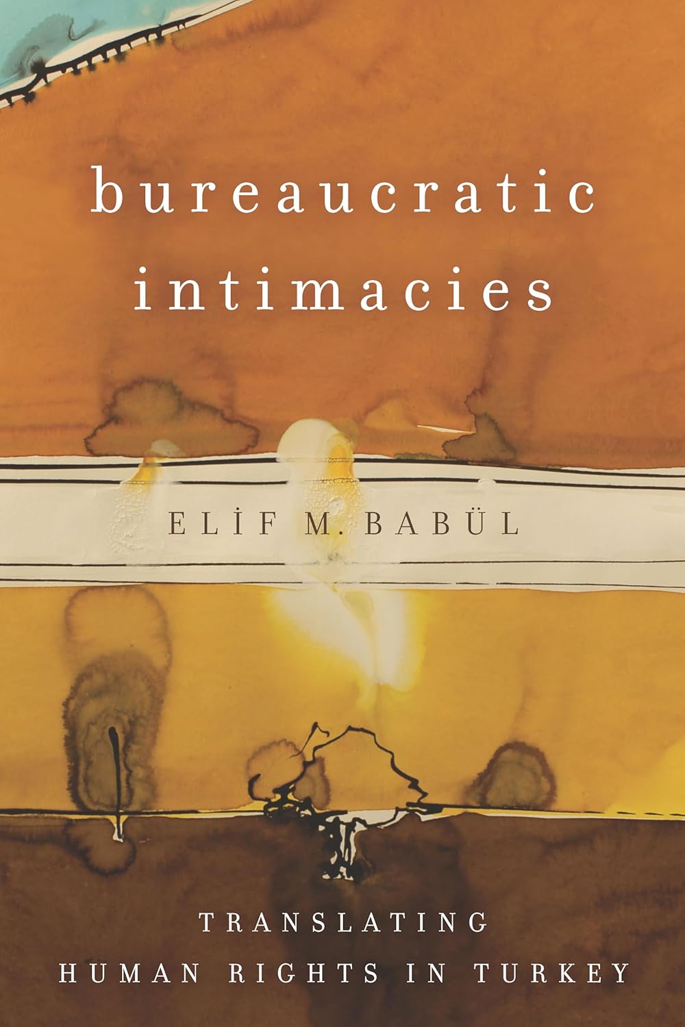 Bureaucratic Intimacies: Translating Human Rights in Turkey Review