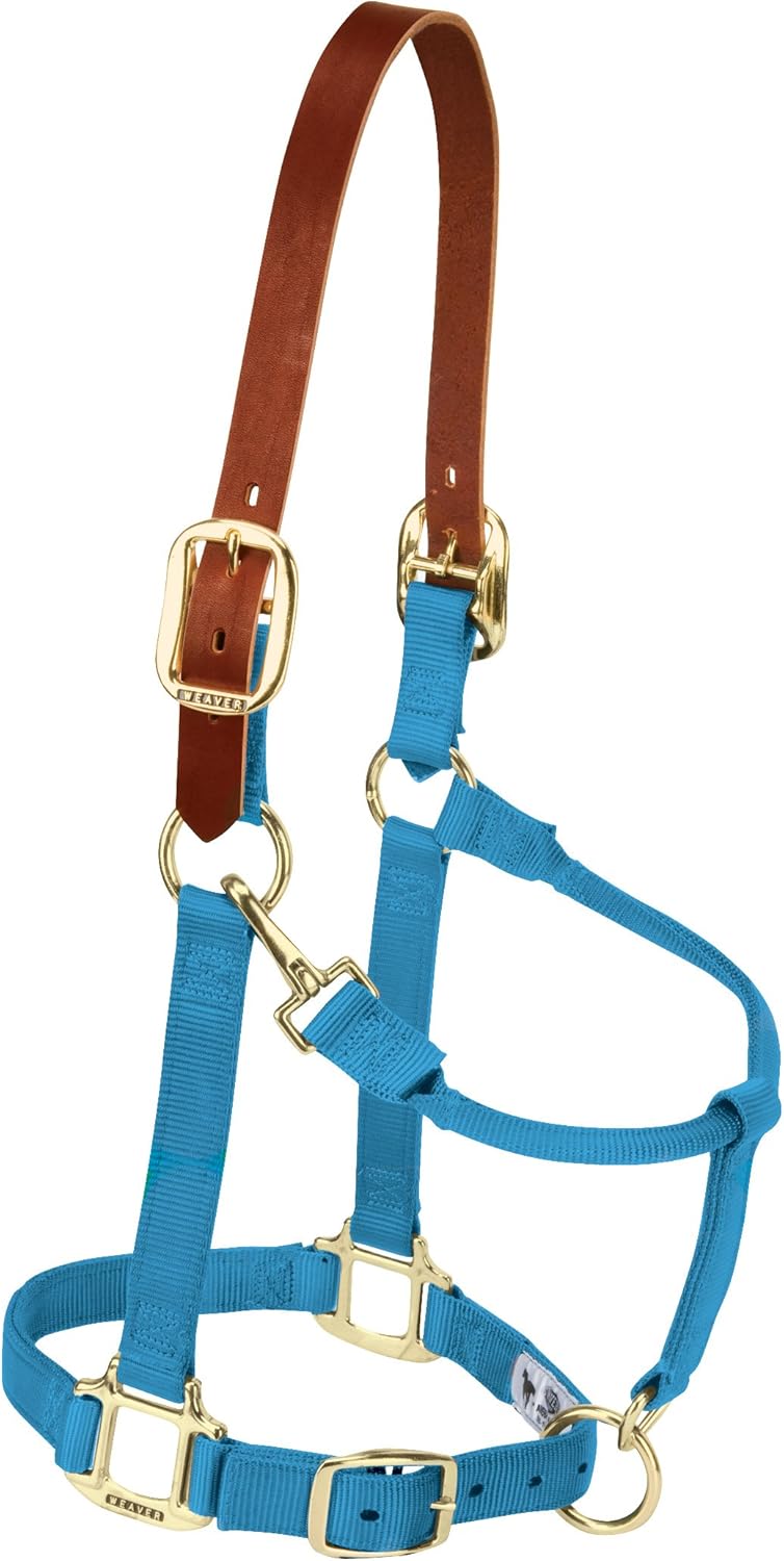 Breakaway Horse Halter with Supple Leather Crown for Horses