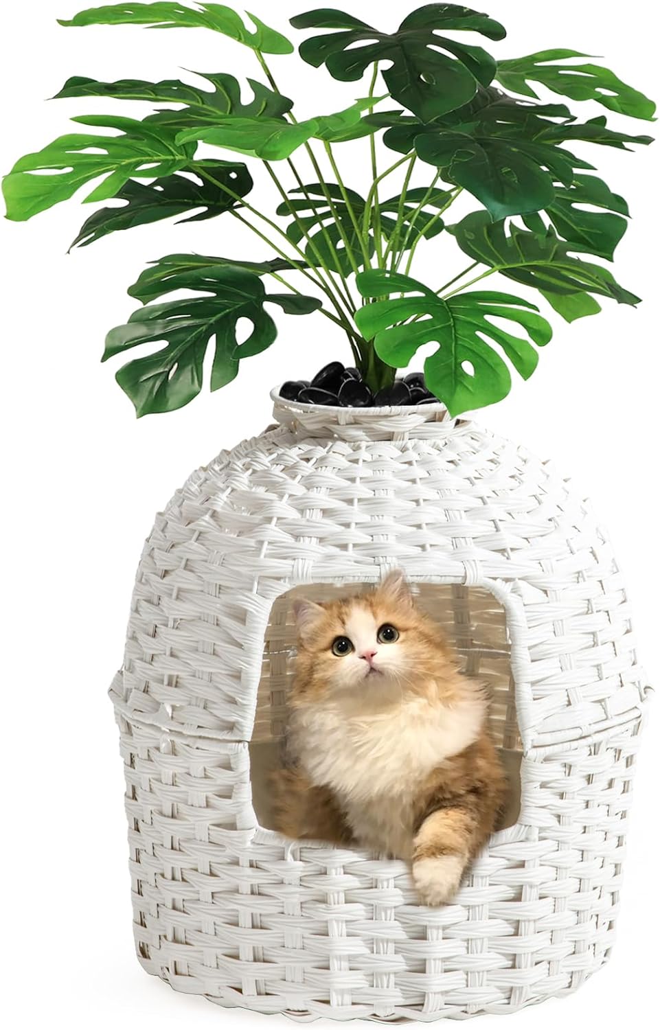 Cat Litter Box Plant Enclosure with Hidden Rattan Design