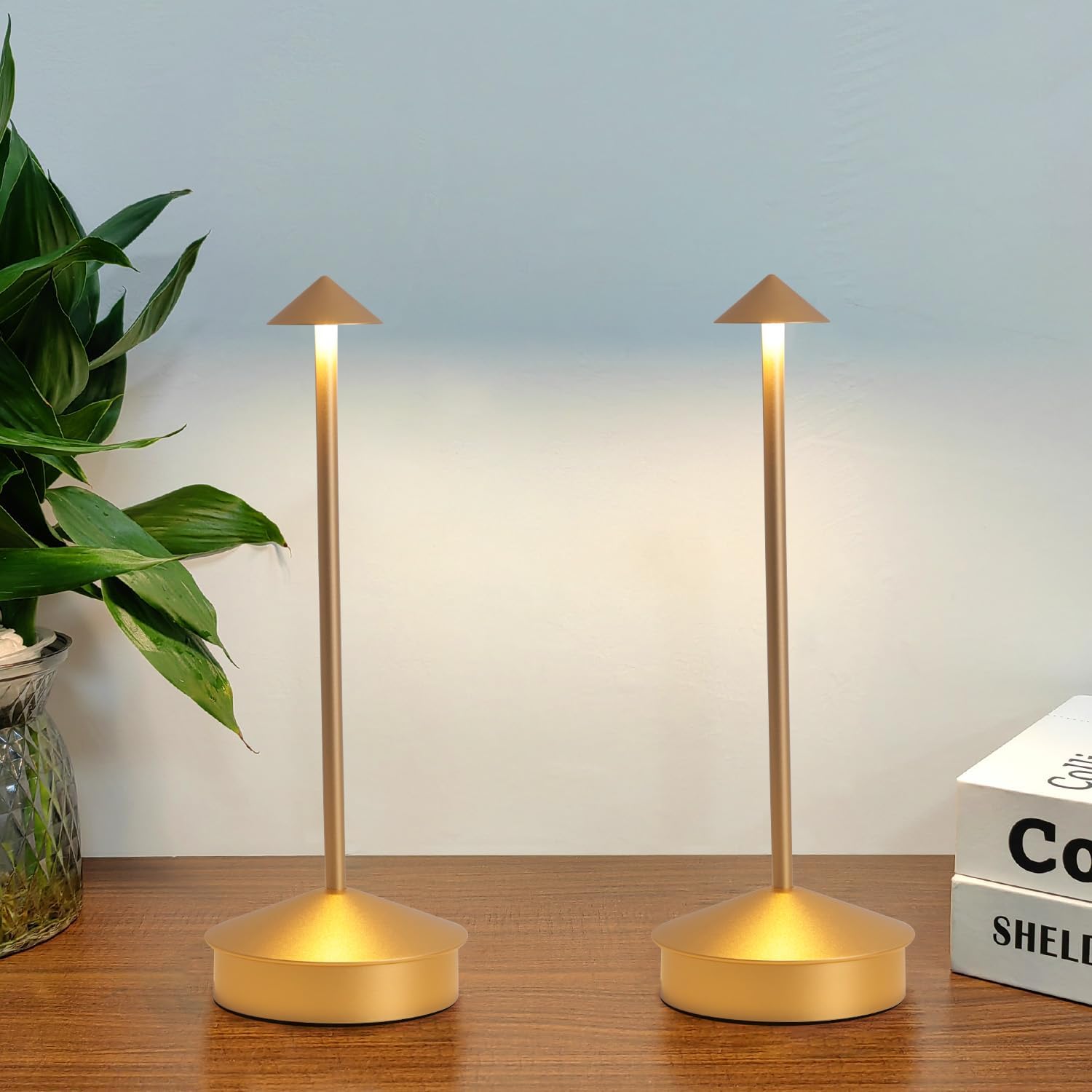 Modern Cordless Table Lamp Set of 2 for Stylish Lighting Needs