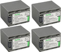 Kastar 4-Pack NP-FP90 / NP-FP91 Batteries for Sony Cameras