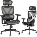 GABRYLLY Ergonomic Office Chair with Lumbar Support and Headrest