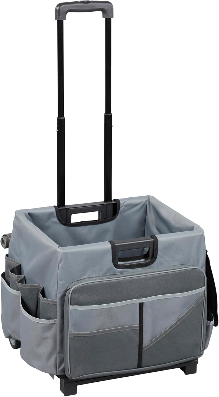 ECR4Kids Universal Rolling Cart with Canvas Organizer Bag Review