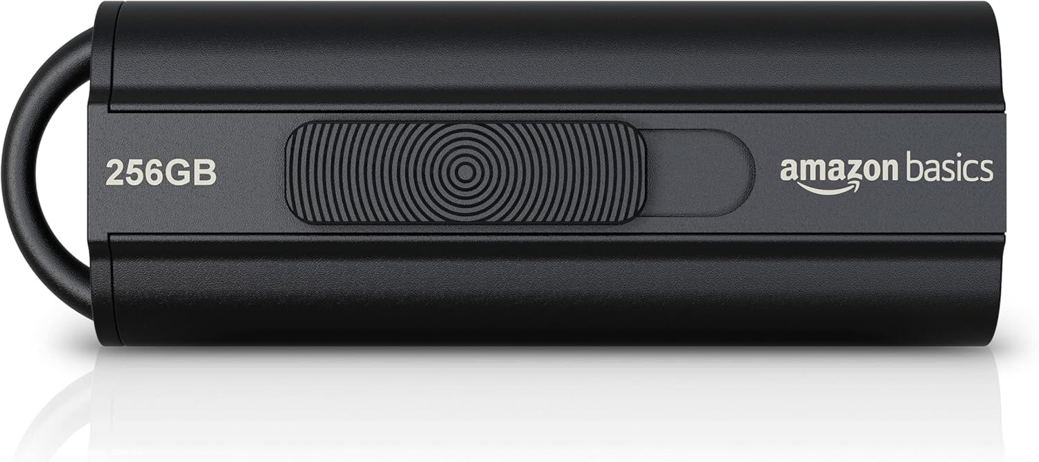 Basics 256GB USB 3.1 Flash Drive - High Capacity Speed