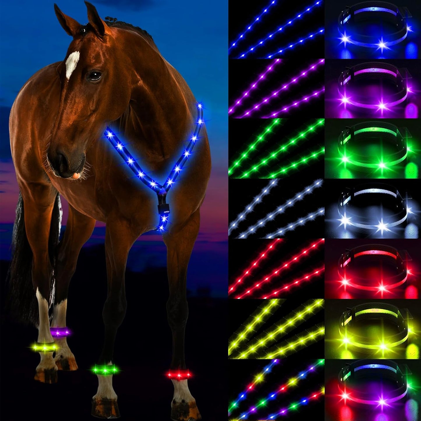 LED Horse Breastplate and Leg Band Set for Night Riding Safety
