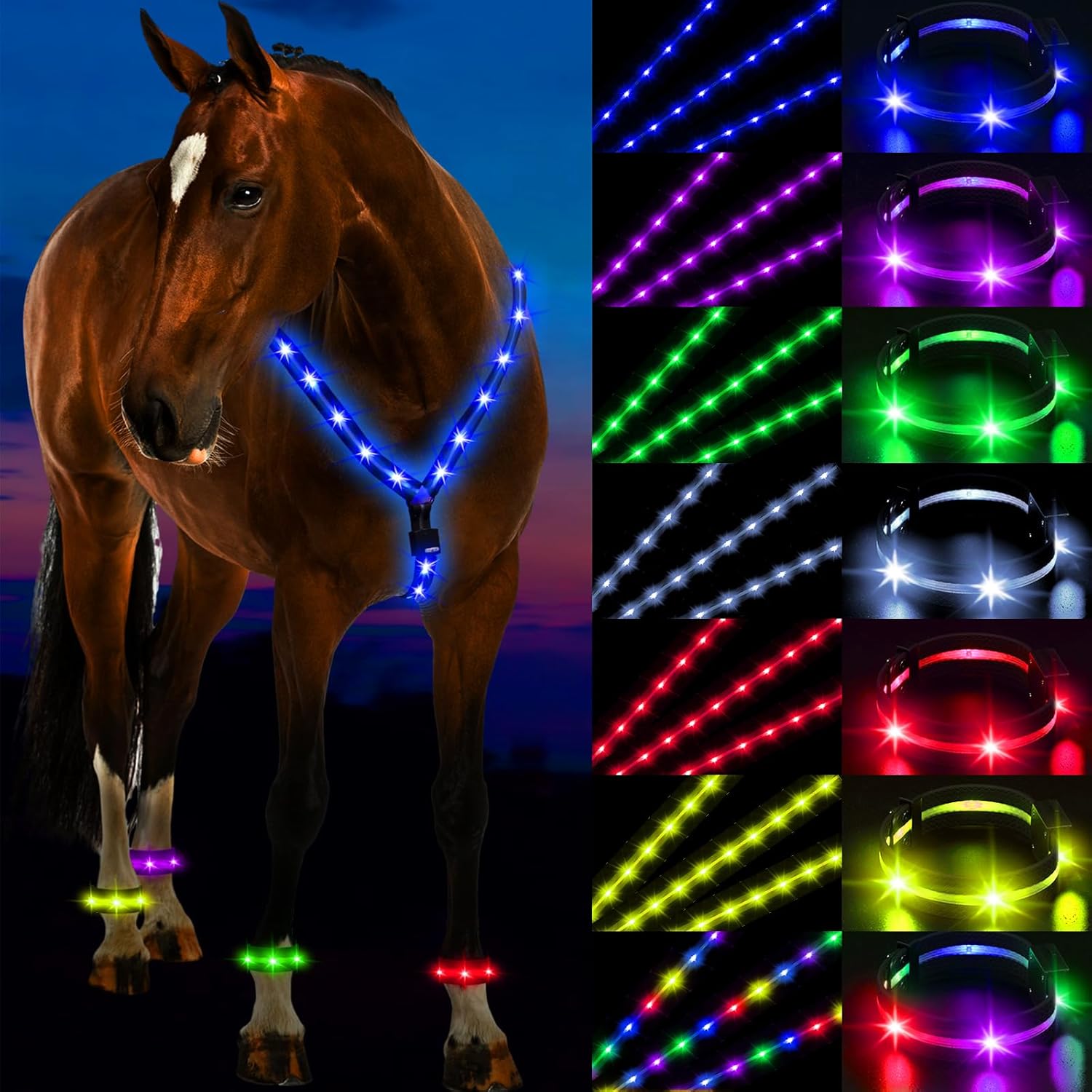 LED Horse Breastplate and Leg Band Set for Night Riding Safety