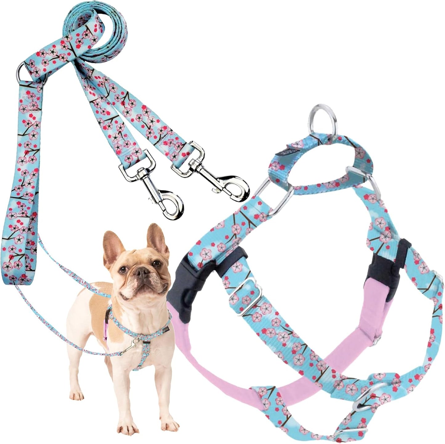 Freedom No-Pull Harness & Training Leash for Small Dogs