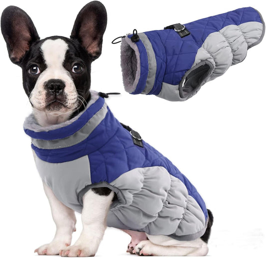 Lelepet Dog Coat Waterproof Winter Jacket for Medium Dogs