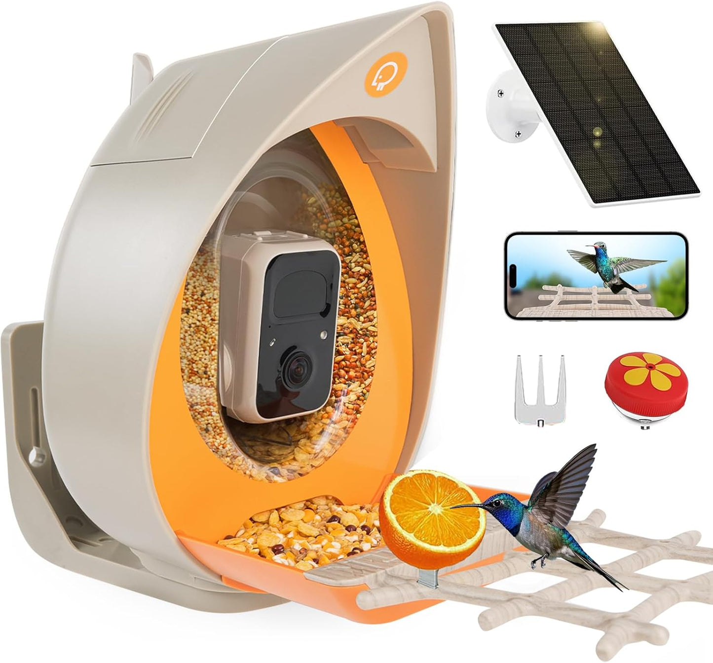 2K Solar Bird Feeder Cam: AI Auto Capture