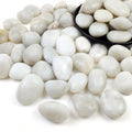 20LB White River Rocks 1-2.2in Polished Pebbles - Decorative