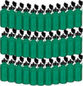 72 Pcs Reusable Water Bottles Bulk for Sports and DIY Projects