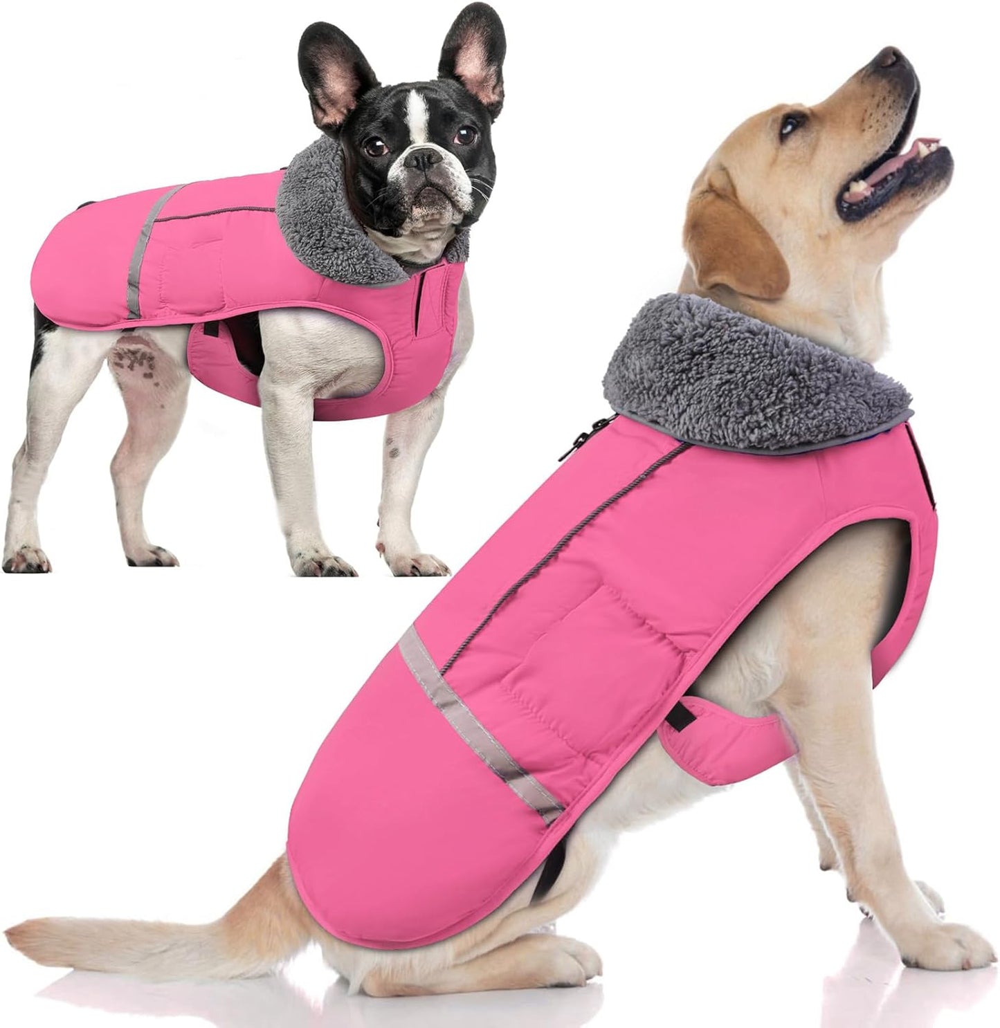 Doglay Dog Coat Waterproof Jacket for Cold Weather Protection