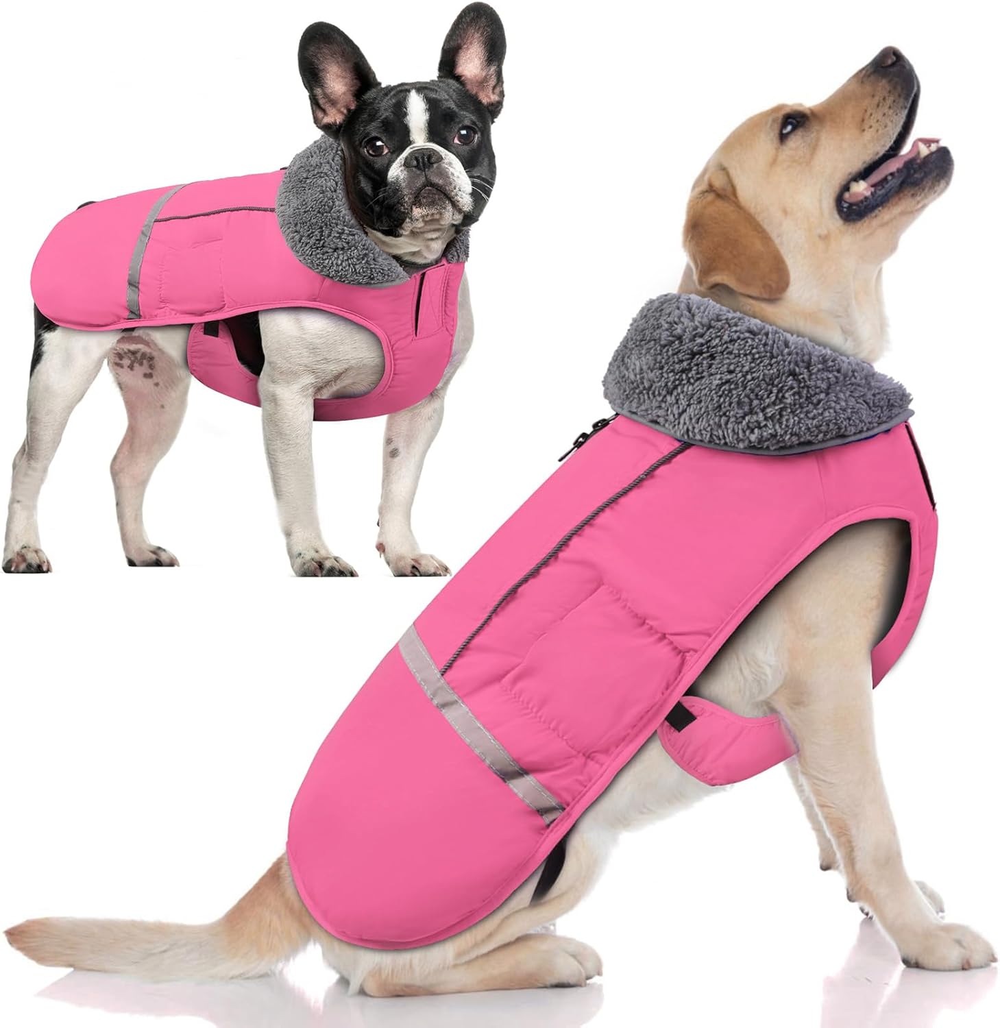 Doglay Dog Coat Waterproof Jacket for Cold Weather Protection