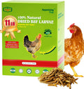 Dried Black Soldier Fly Larvae - Nutrient-Rich Treats for Pets