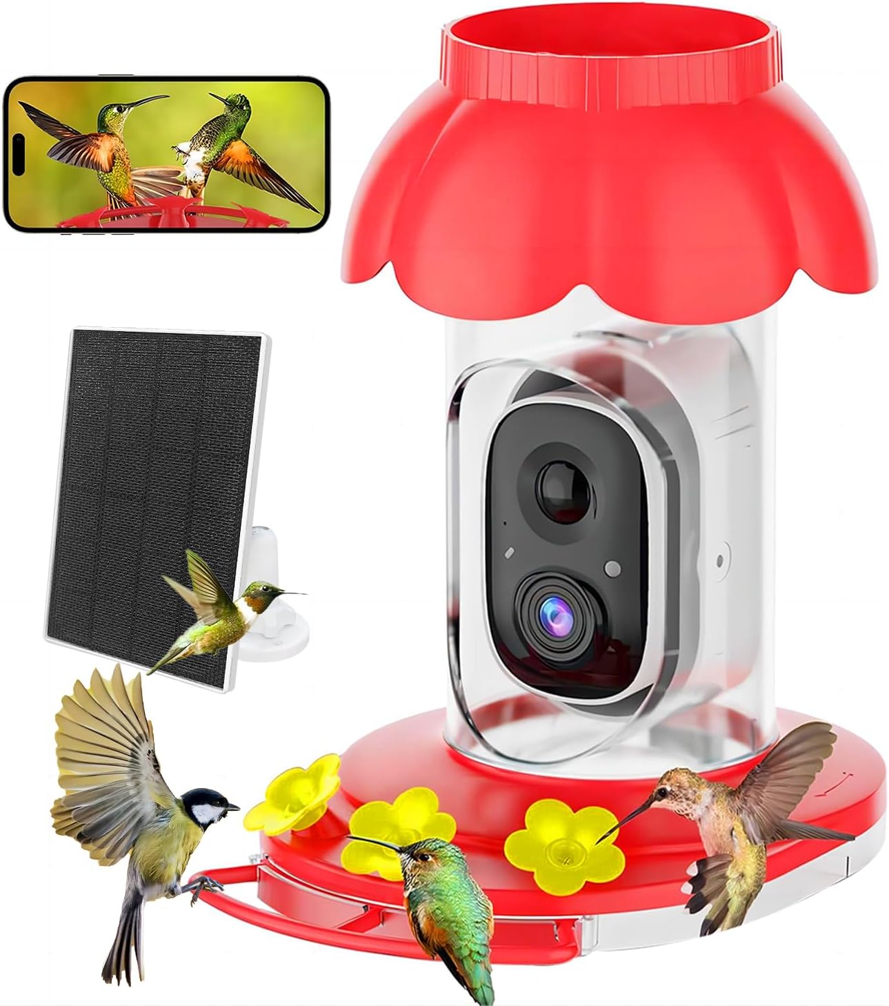 AI Smart Hummingbird Feeder Camera - Auto Capture Videos