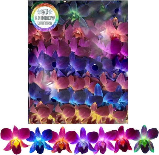 Fresh Orchid Flower Loose Bloom for DIY Lei and Decorations