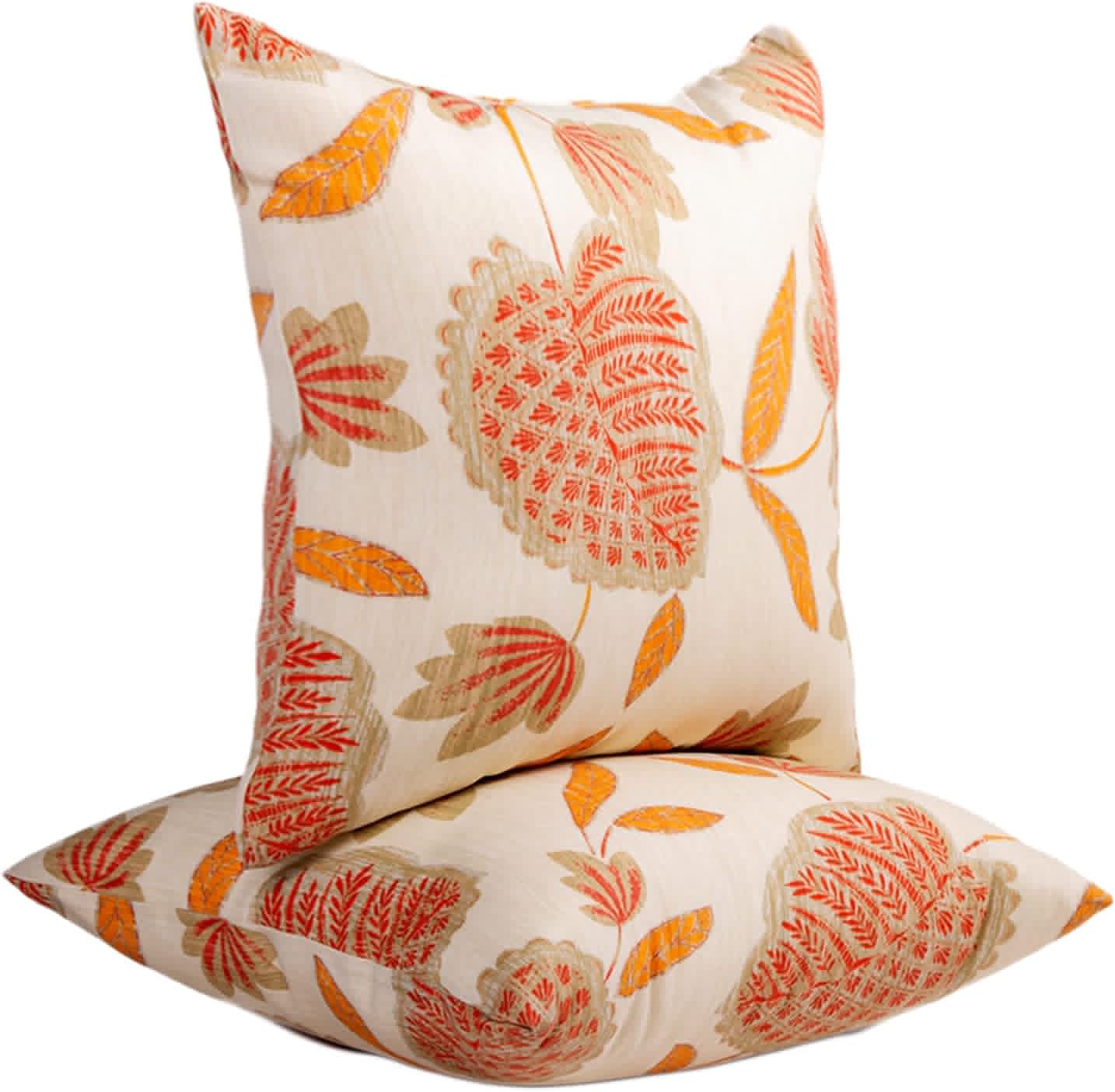 JMGBird Outdoor Throw Pillows Waterproof Set of 2 for Comfort