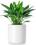 vancasso 8 Inch Ceramic Pot for Plants - Smart Drainage Planter