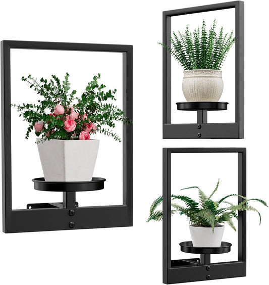 3-Pack Plant Picture Frames for Indoor and Outdoor Decor