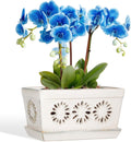 Orchid Pot with Holes 10 in Rectangle Planter - Airflow Drainage
