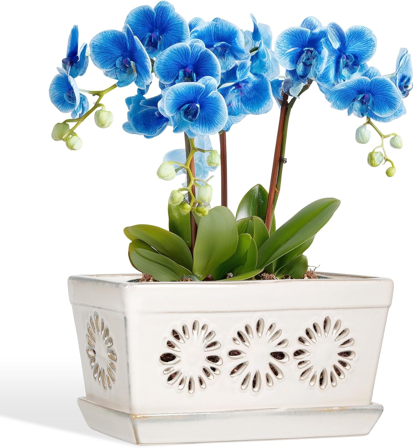 EFISPSS Orchid Pot with Holes, 10 Inch Plant Pots for Orchids