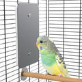 USB Bird Heater Pad for Parakeets - Keep Your Feathered Friend Cozy!