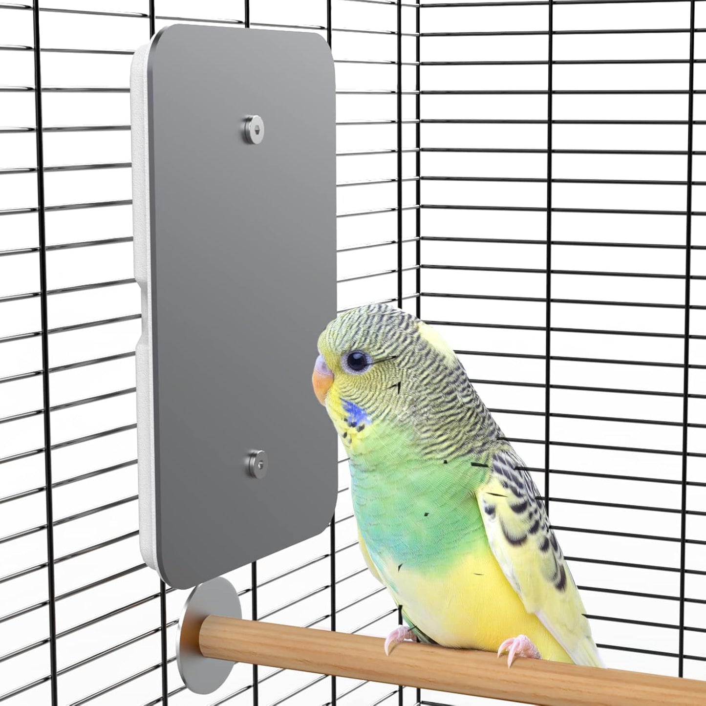 USB Bird Heater Pad for Parakeets - Keep Your Feathered Friend Cozy!