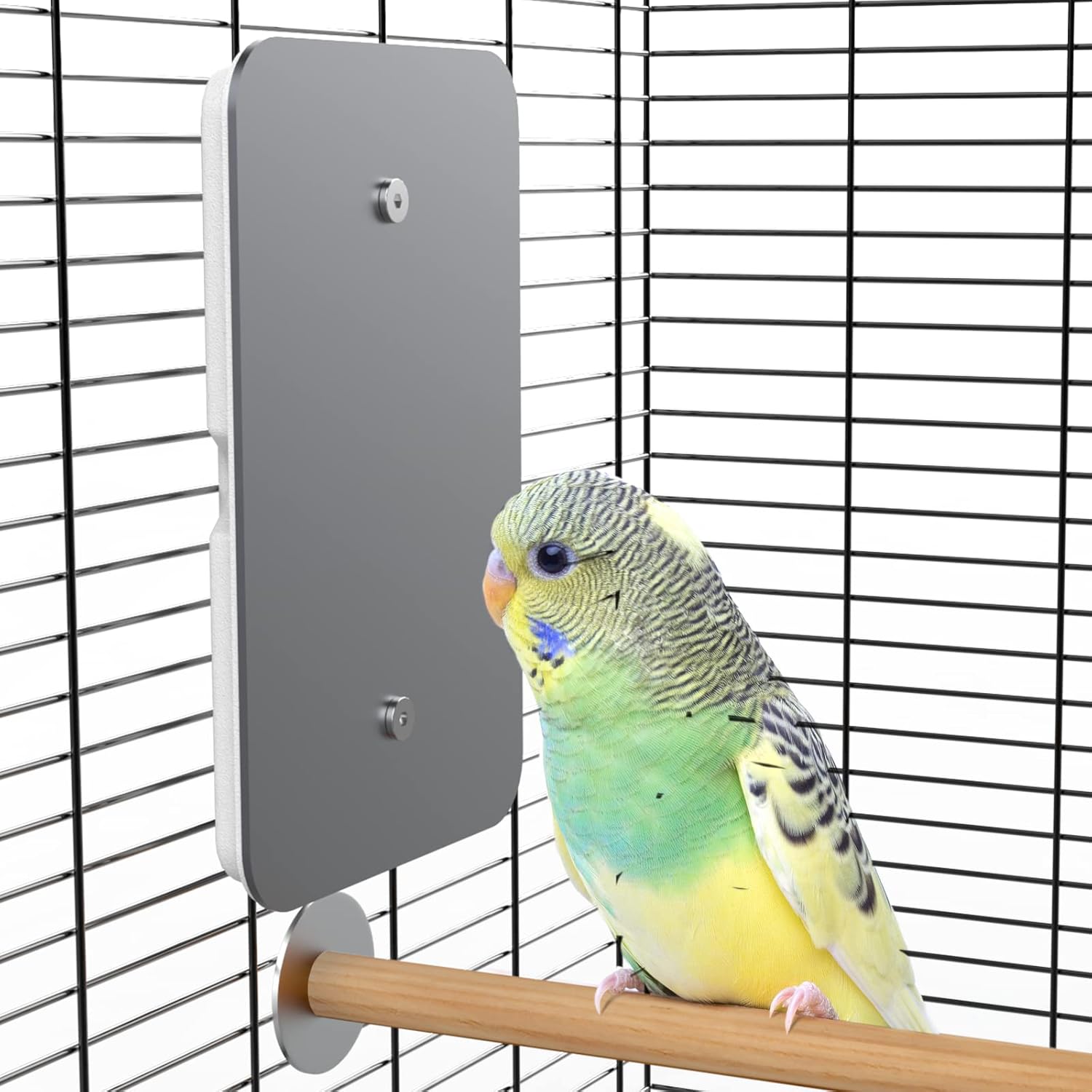 USB Bird Heater Pad for Parakeets - Keep Your Feathered Friend Cozy!