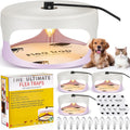 Flea Traps for Inside Your Home 4-Pack - Sticky Light Trap Set