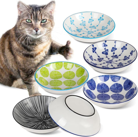 Non-Slip Tilted Cat Food Bowls for Happy Kitties