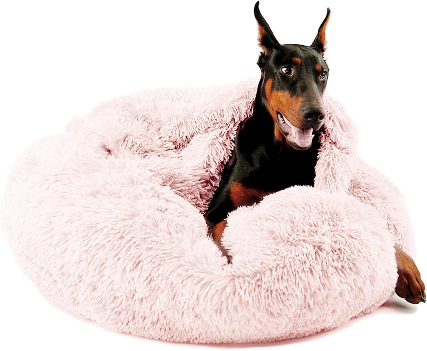 Himax Dog Beds for Large Dogs with Attached Blanket for Comfort