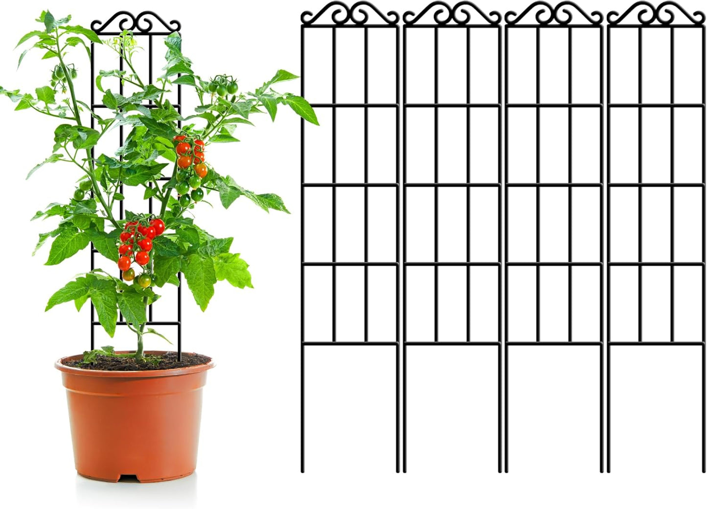 Sturdy 37.5ft' Metal Garden Trellis for Climbing Plants - Pack of 4