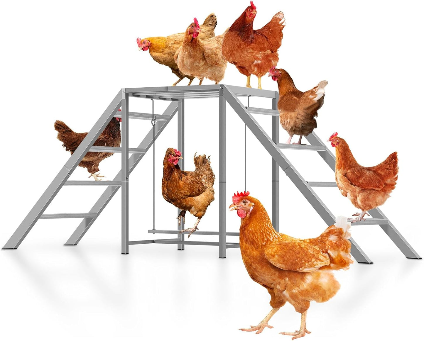 Chicken Coop Perches with Swing for Happy and Healthy Chickens