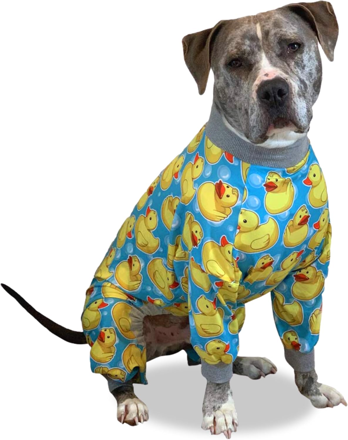 Tooth and Honey Pit Bull Pajamas for Cozy Dog Comfort