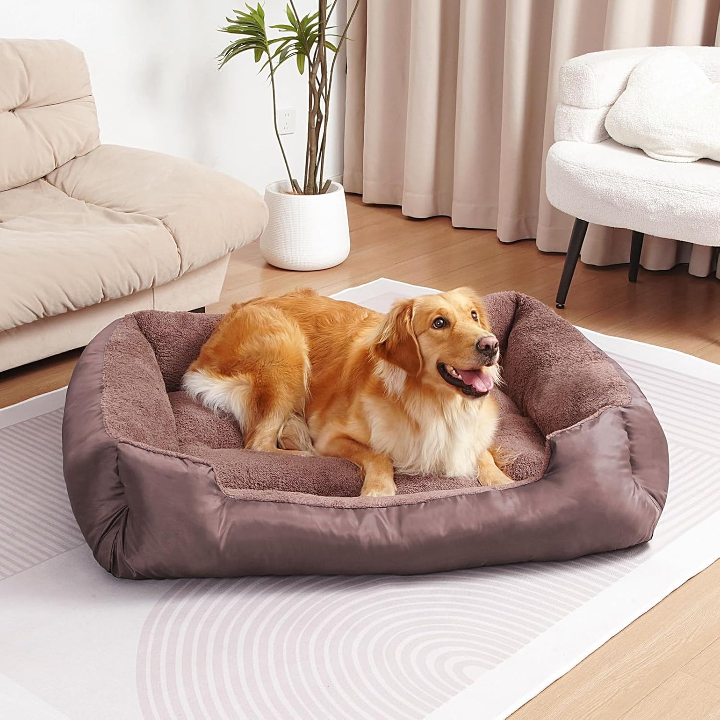 Orthopedic Dog Bed for Large Dogs with Washable Design
