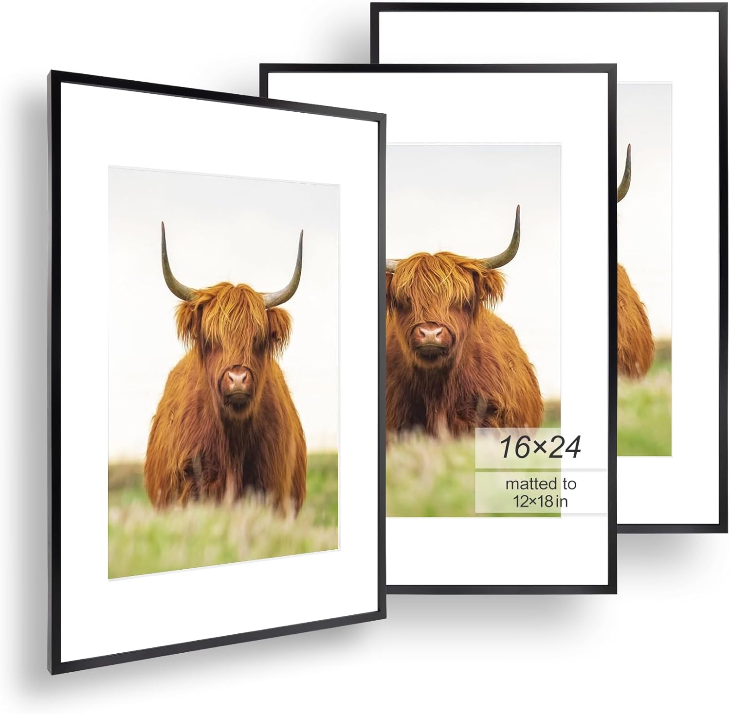 16x24 Picture Frame Set of 3 for Stunning Wall Displays