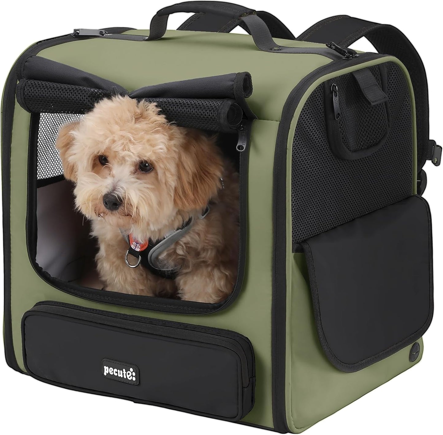 Pecute Cat Carrier Backpack for Hiking and Camping Adventures