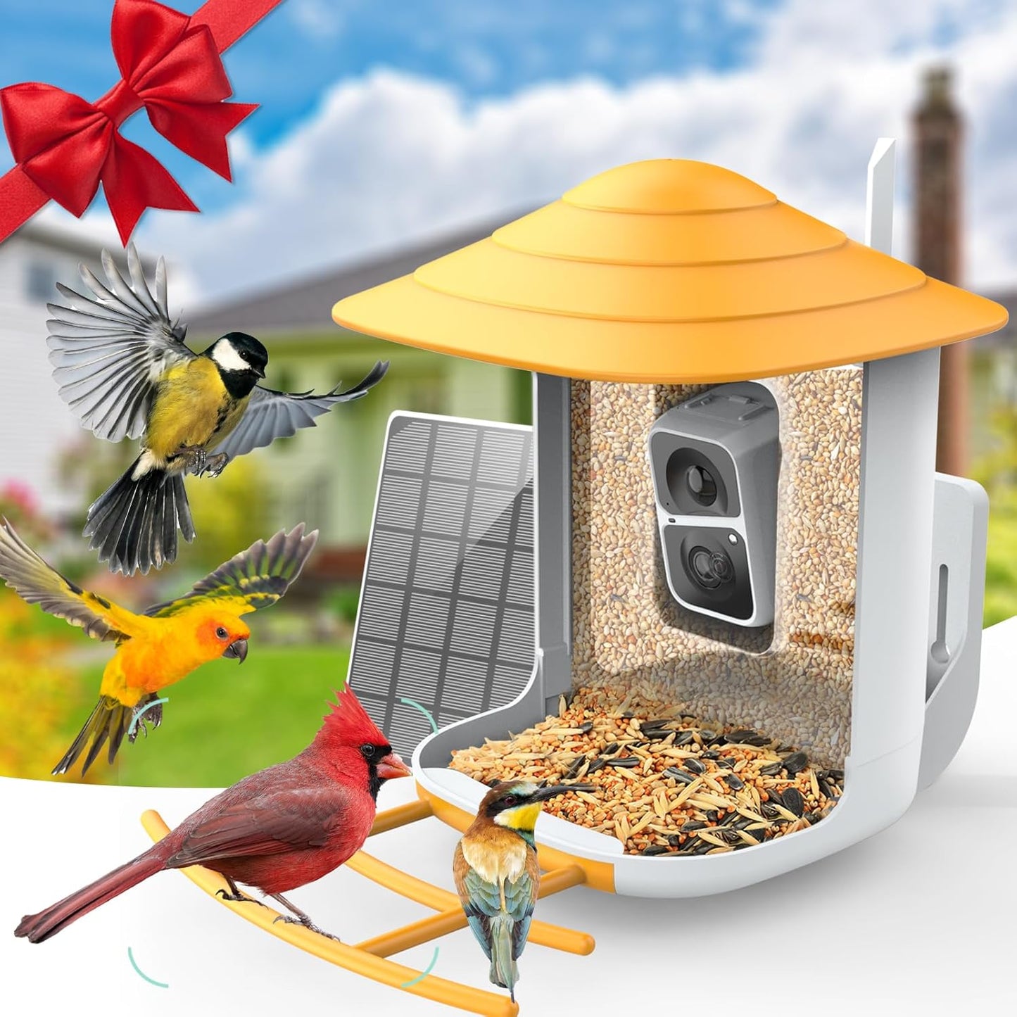 Smart Bird Feeder with Species AI, Live Video, Motion Detect