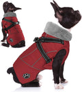 Doglay Dog Jacket with Built-In Detachable Harness - Waterproof Winter