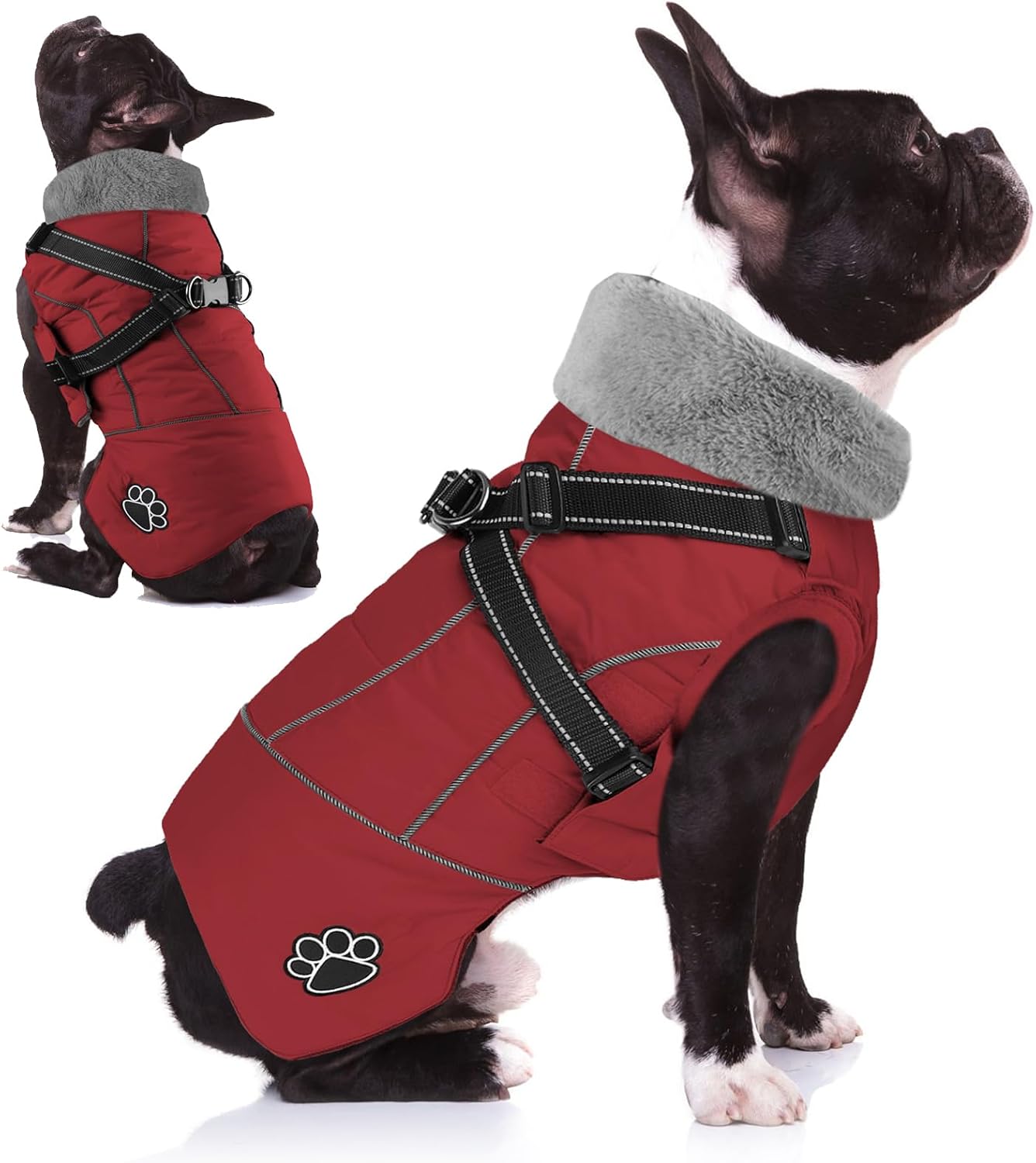 Doglay Waterproof Dog Jacket with Built-in Harness for Winter