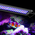 Pawfly 48W Saltwater Aquarium Light for 48 to 54 Inch Tanks