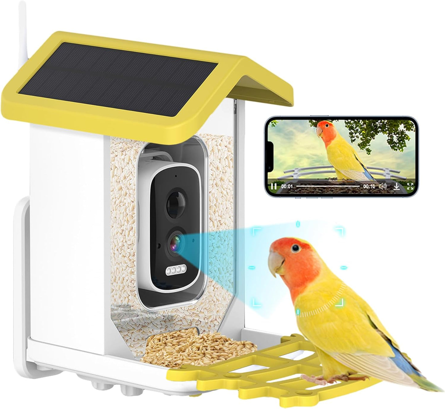 AI Bird Feeder with HD Camera & Notifications