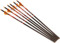 RAVIN Carbon Crossbow Arrows 400 Grain .003 - Six Pack Review