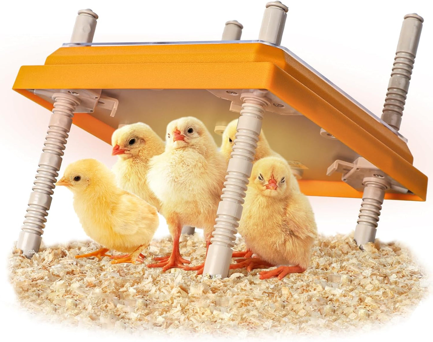 15W Adjustable Heating Plate for 15 Chicks - NUGRIART: Warmth Like Mother Hen