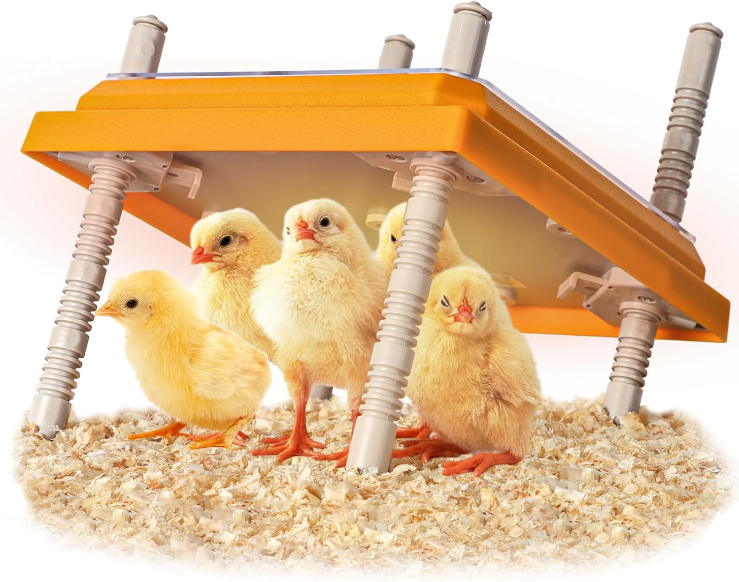 15W Adjustable Heating Plate for 15 Chicks - NUGRIART: Warmth Like Mother Hen