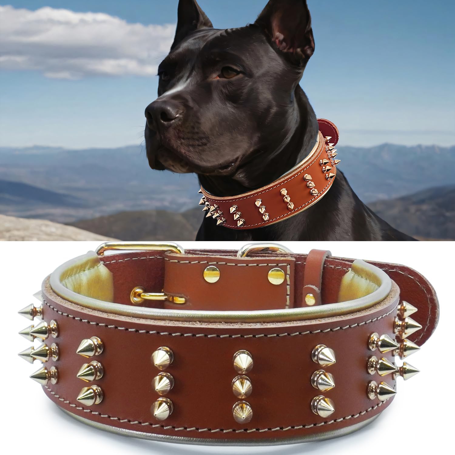 Spiked Leather Dog Collar for Powerful Breeds in Fiery Orange