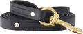 Ray Allen Signature K9 Biothane Leash, 6-ft x 3/4-in - Durable Pro