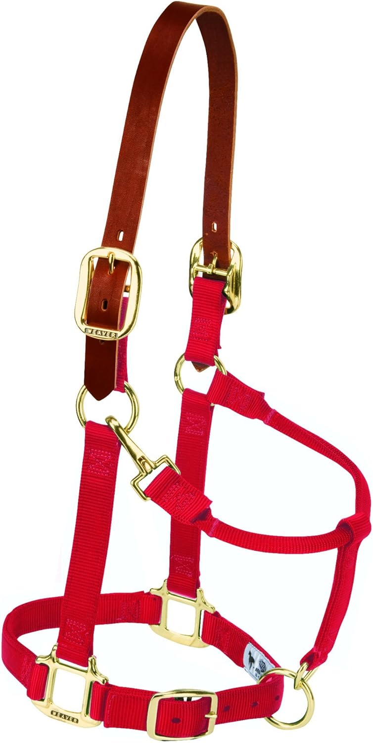 Breakaway Horse Halter with Supple Leather Crown for Horses